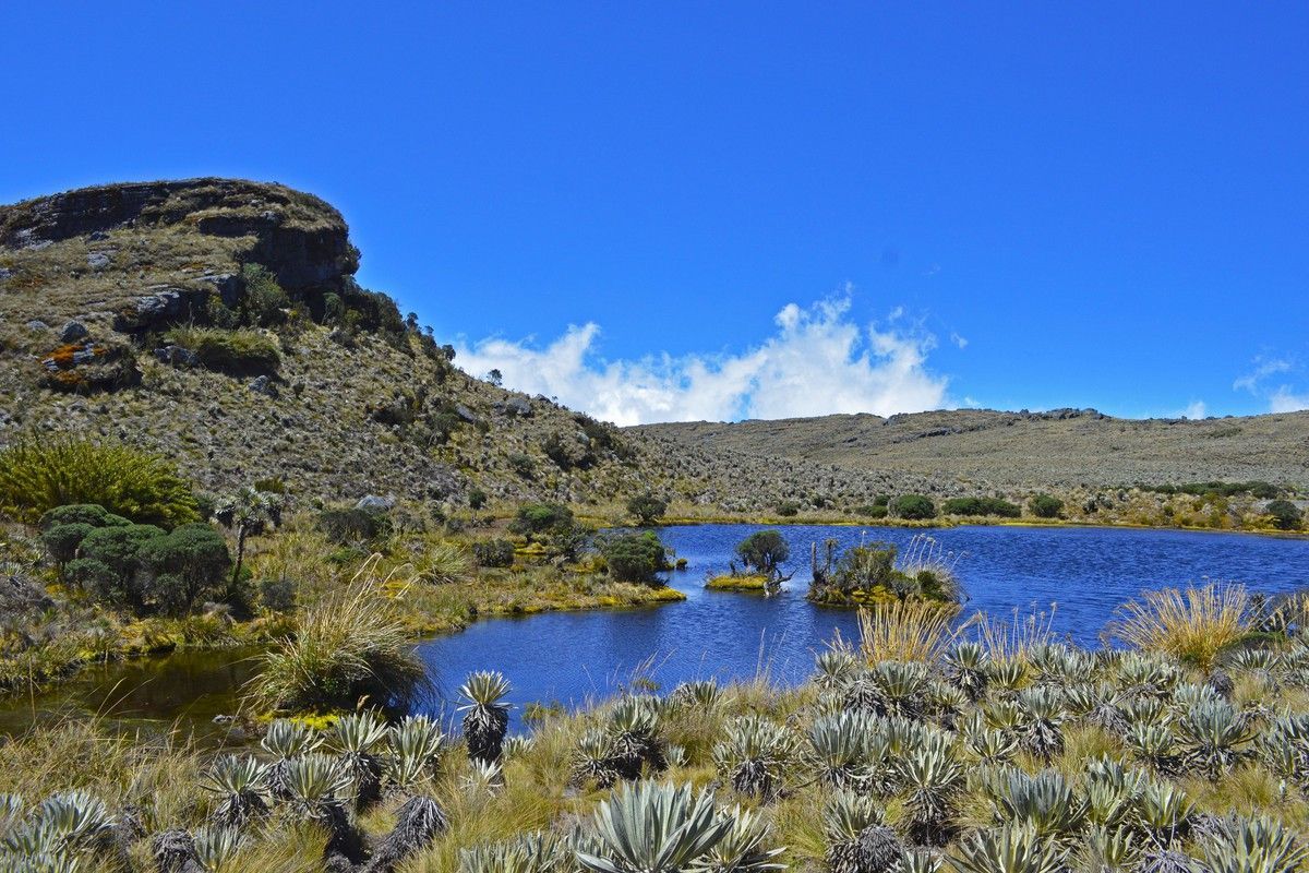 sumapaz